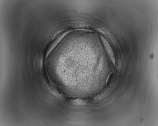 X0000098160326200805011437