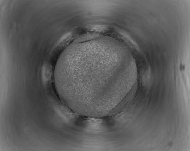 X0000098160328200805011436