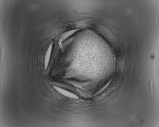 X0000098160329200805011436
