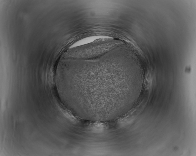 X0000098160330200805011436
