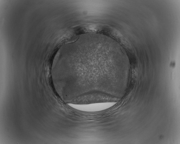 X0000098160331200805011436