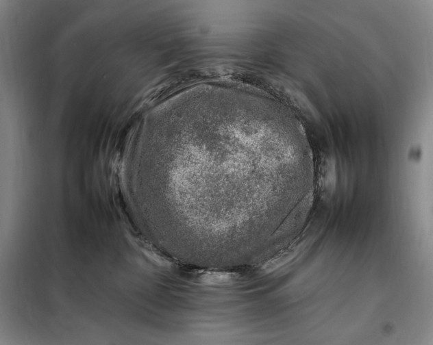 X0000098160332200805011436