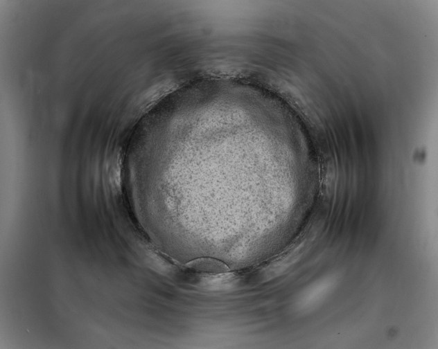 X0000098160334200805011436