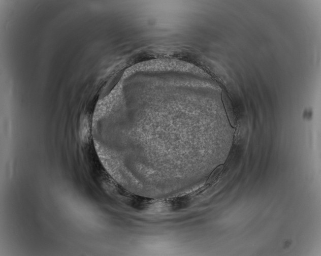 X0000098160335200805011436