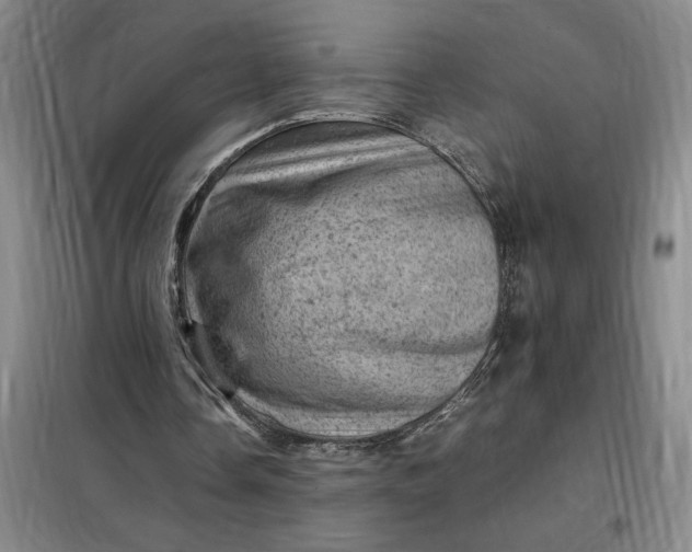 X0000098160338200805011436