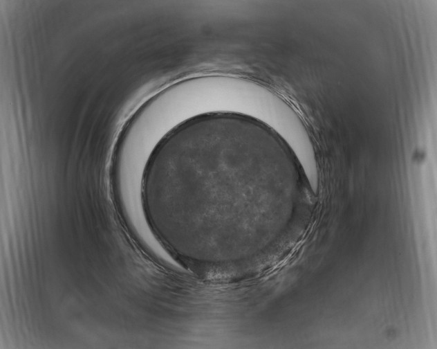 X0000098160340200805011436