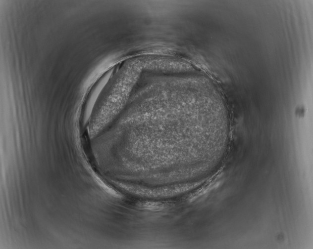 X0000098160341200805011436