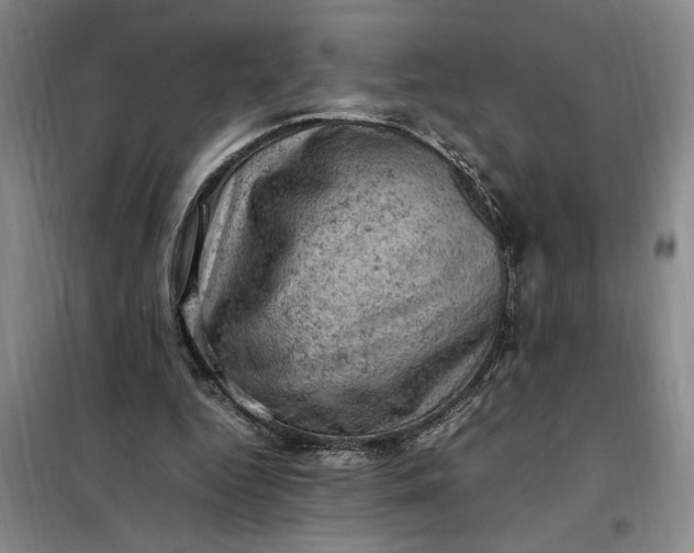 X0000098160344200805011436