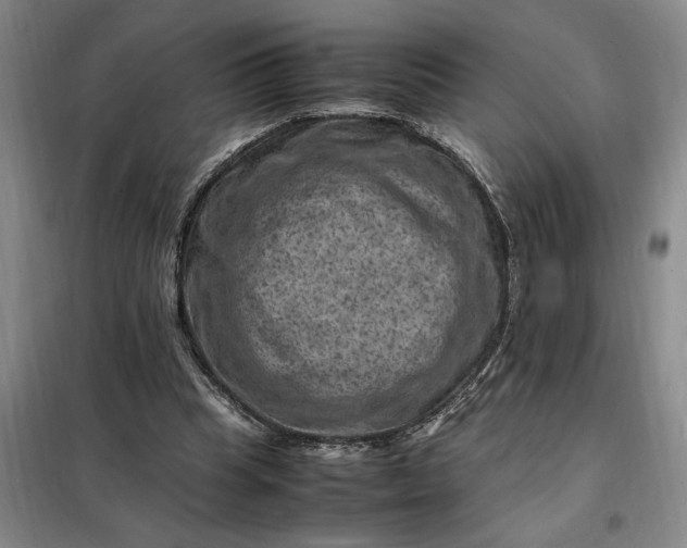 X0000098160345200805011436