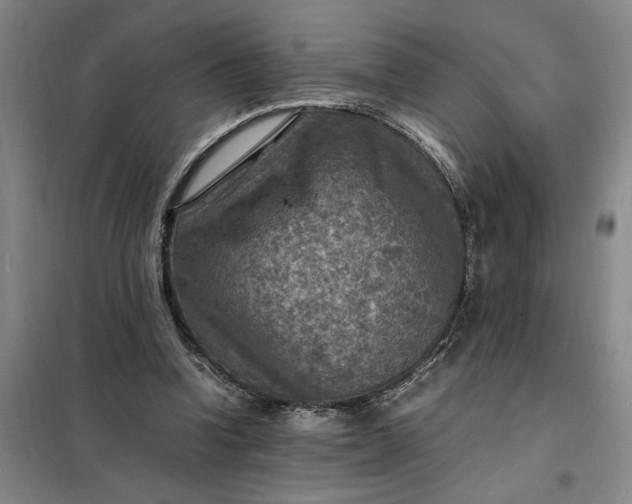 X0000098160346200805011436