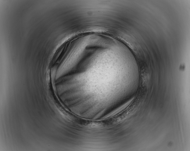 X0000098160350200805011436