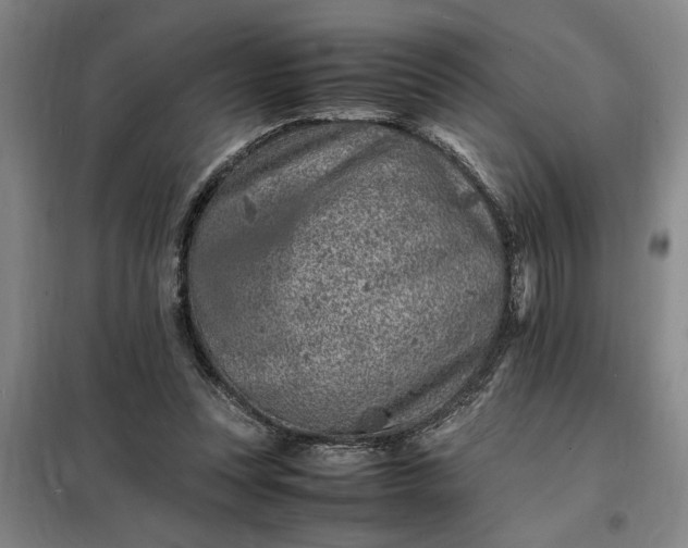 X0000098160351200805011436