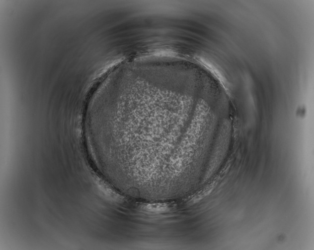 X0000098160353200805011436