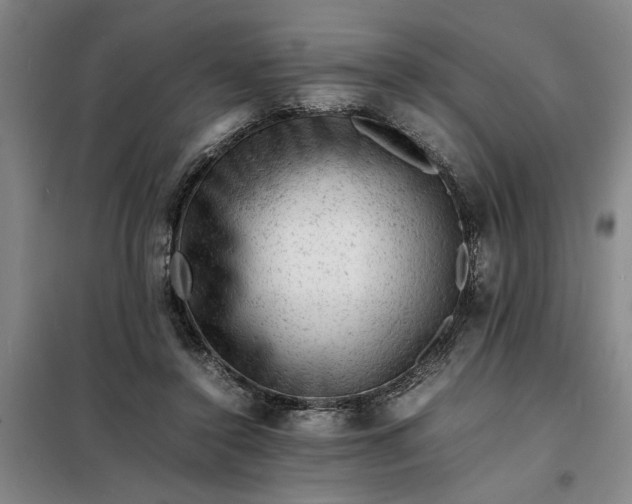 X0000098160356200805011436