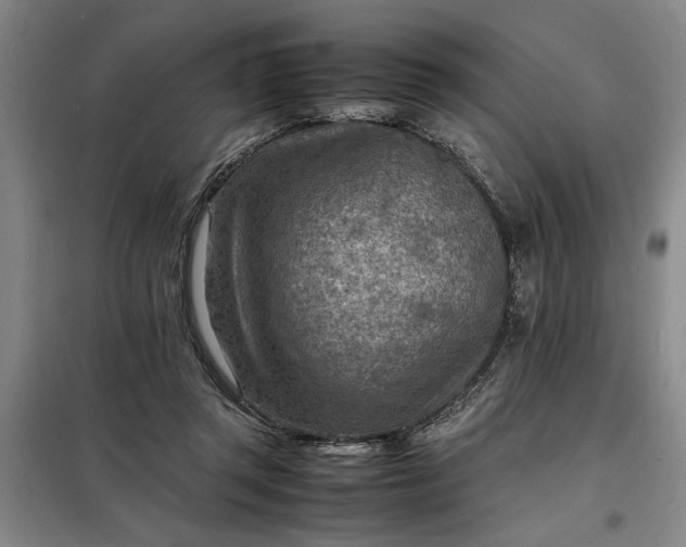 X0000098160357200805011436