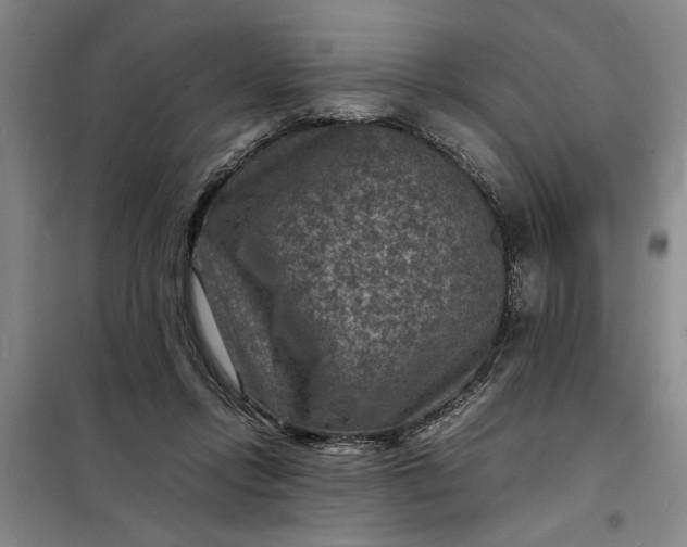 X0000098160358200805011436