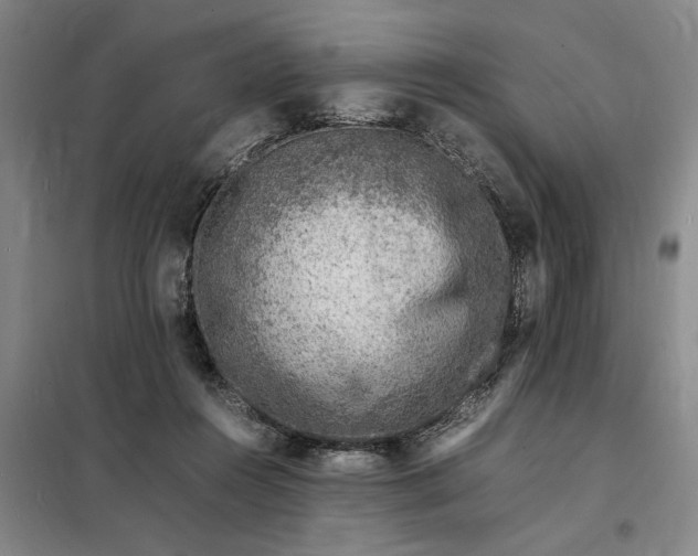 X0000098160360200805011436
