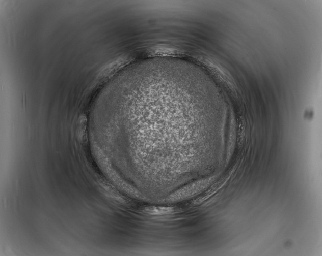 X0000098160361200805011436