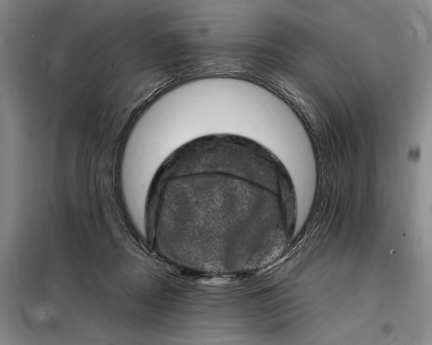 X0000098160362200805011436