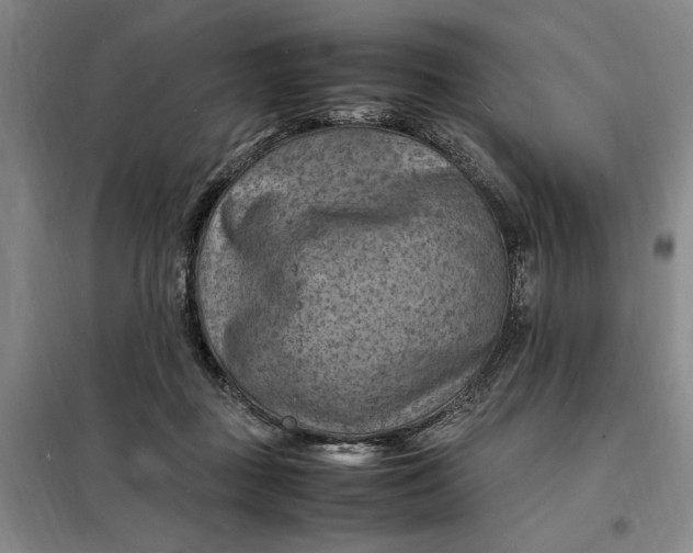X0000098160363200805011436