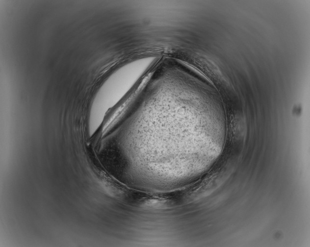 X0000098160364200805011436