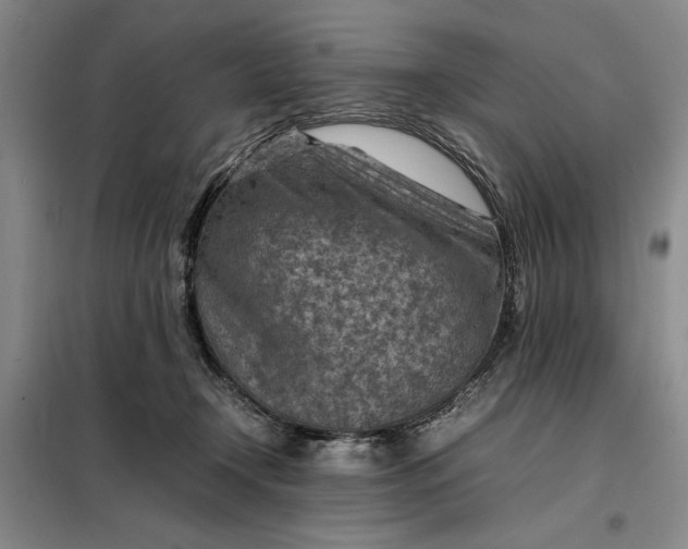 X0000098160366200805011436
