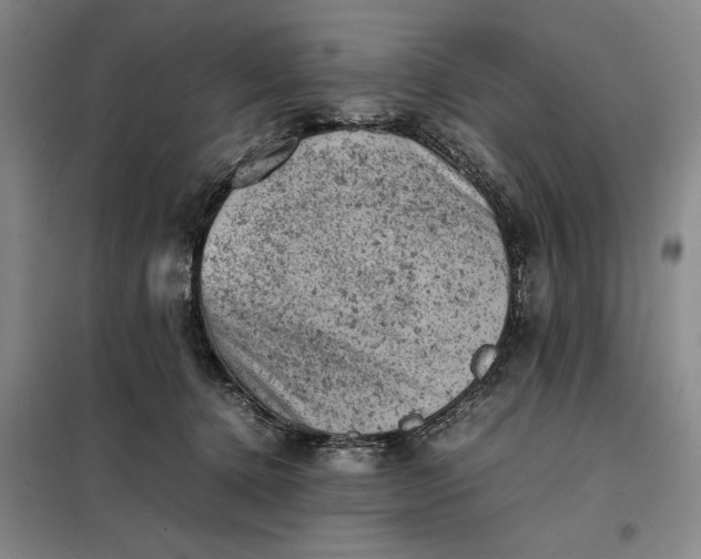 X0000098160368200805011436