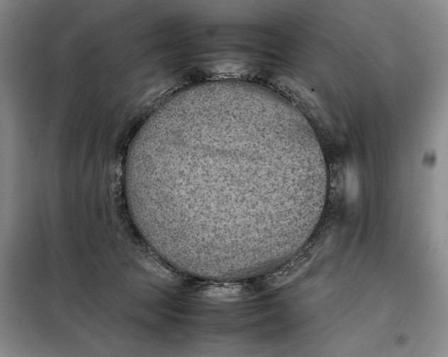 X0000098160369200805011436