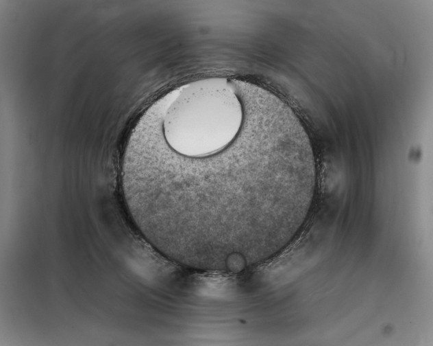 X0000098160370200805011436