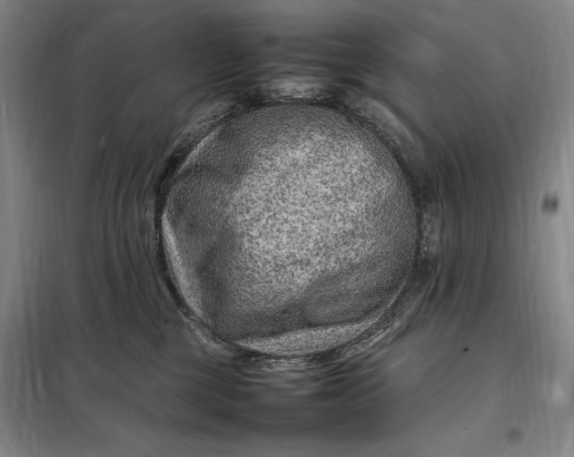 X0000098160377200805011436
