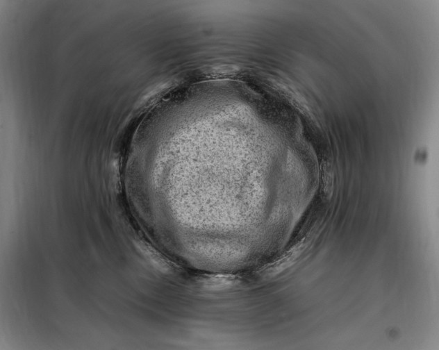 X0000098160378200805011436
