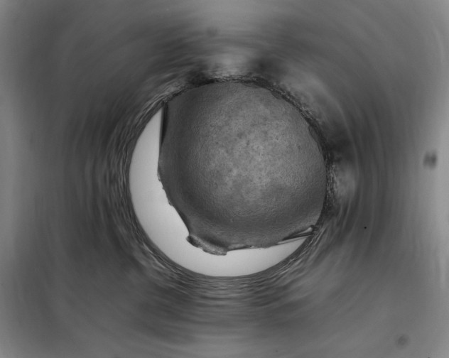 X0000098160380200805011436