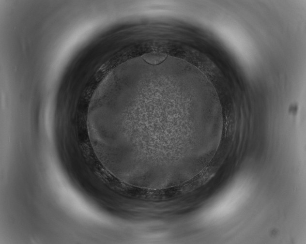 X0000098160383200805011436
