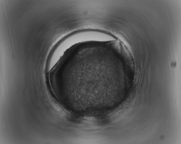X0000098160391200805011436