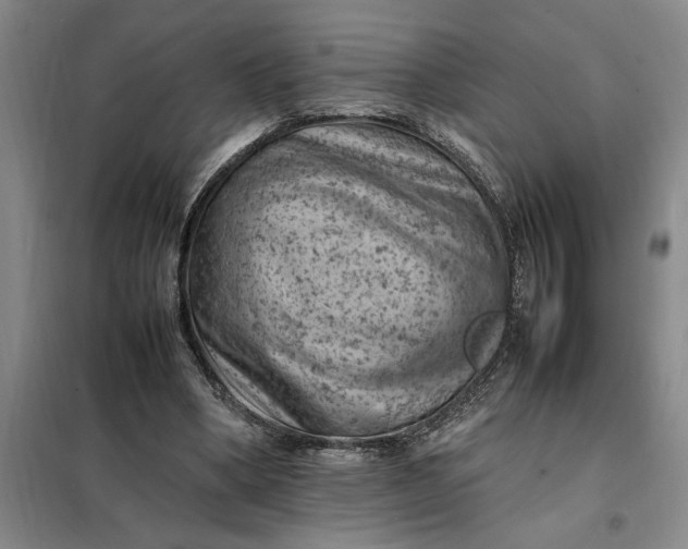 X0000098160394200805011436