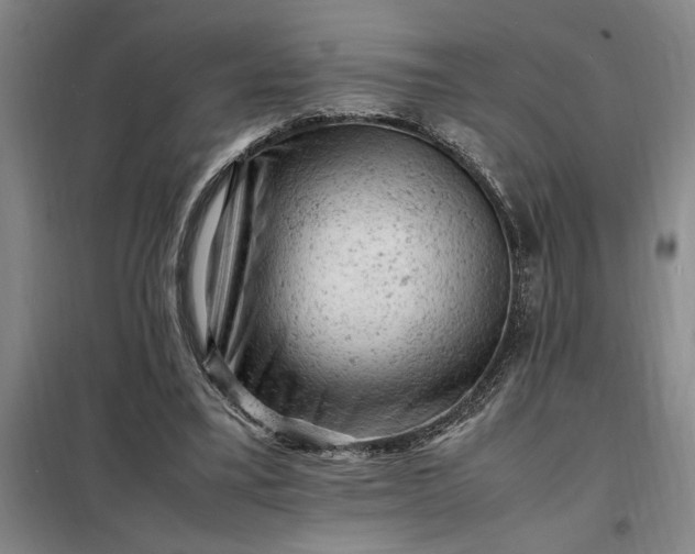 X0000098160395200805011436