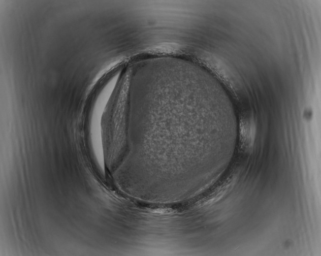 X0000098160396200805011436
