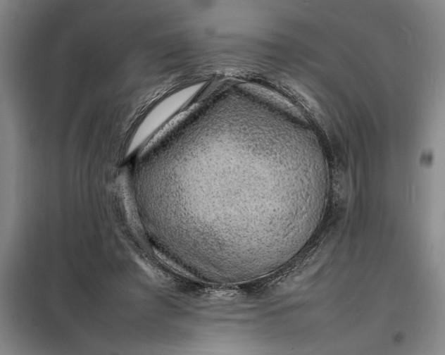 X0000098160401200805011435
