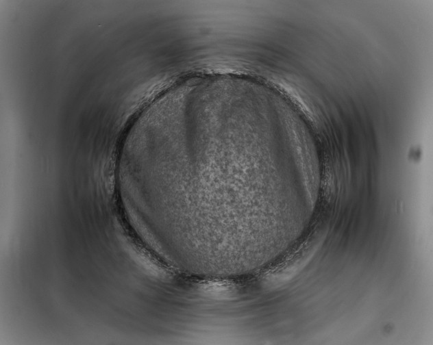 X0000098160402200805011435