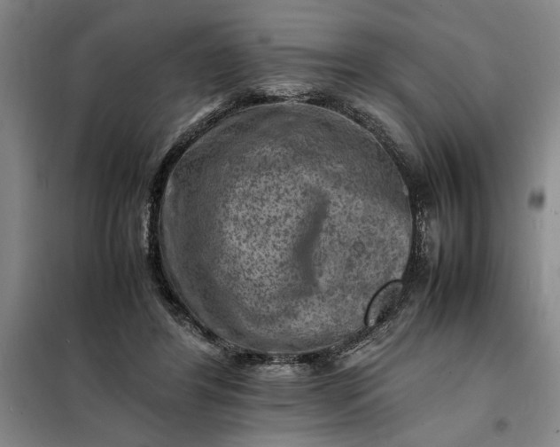 X0000098160404200805011435