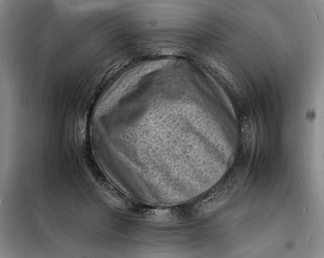 X0000098160406200805011435