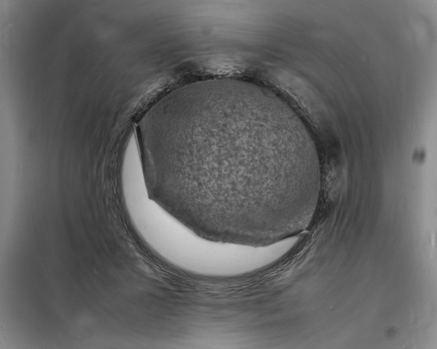 X0000098160407200805011435