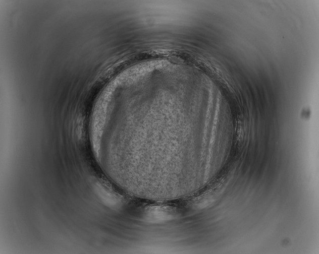 X0000098160408200805011435