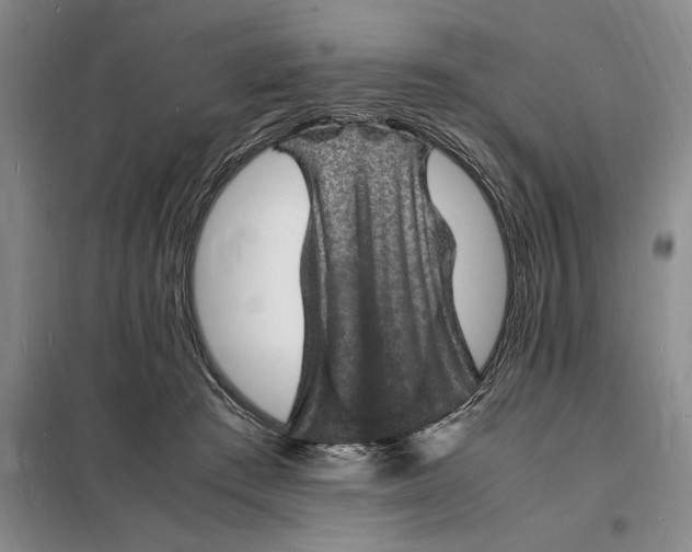X0000098160409200805011435