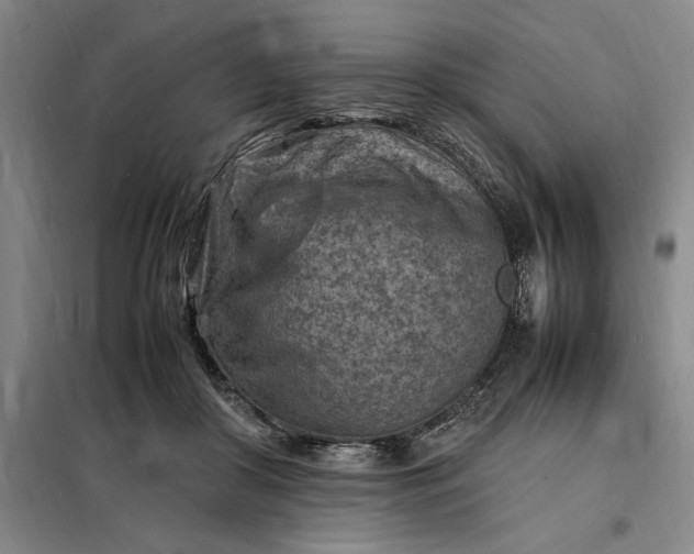X0000098160410200805011435