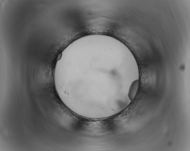 X0000098160411200805011435