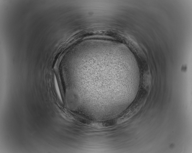 X0000098160413200805011435