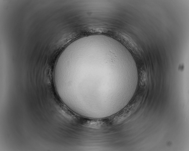 X0000098160414200805011435