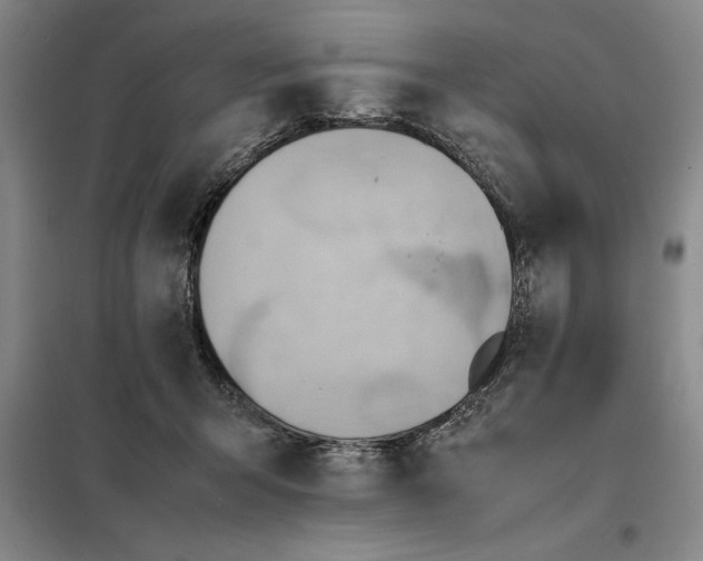 X0000098160415200805011435