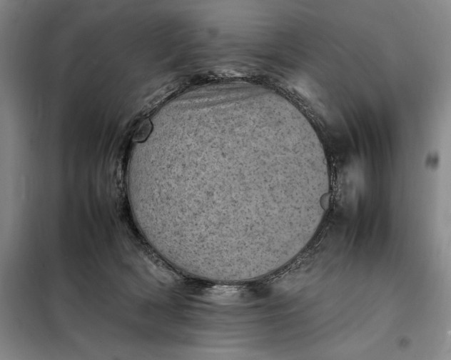 X0000098160418200805011435